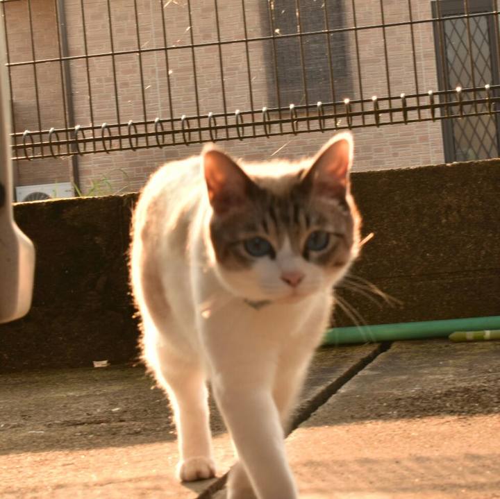 2dd08070 21d3 4953 8326 20a9925c56e2