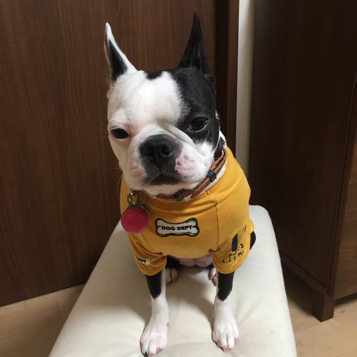 2dd0959d 2c37 4e0f 89fe bd58ddb42f9c