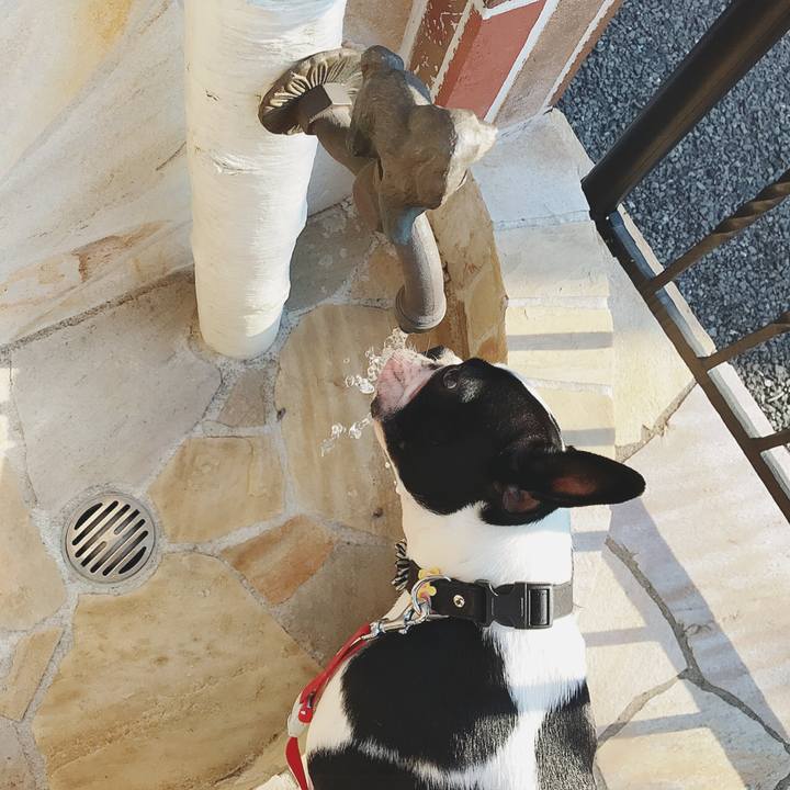 2dd0c196 54d1 4ac0 86f7 9ca893eccdb3