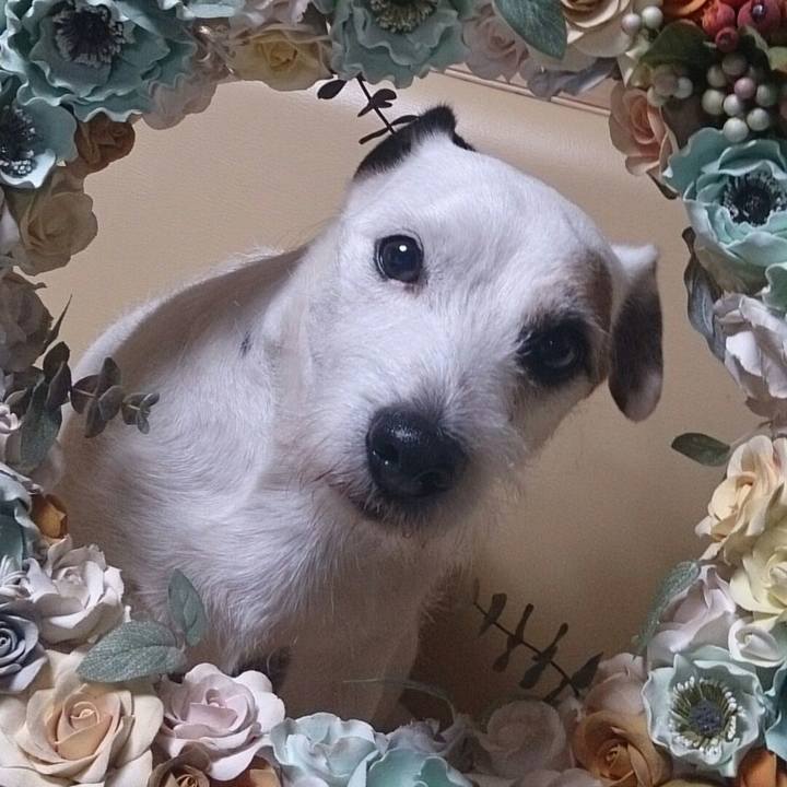 2dd17a07 7719 452b 9200 6985a8d5056c