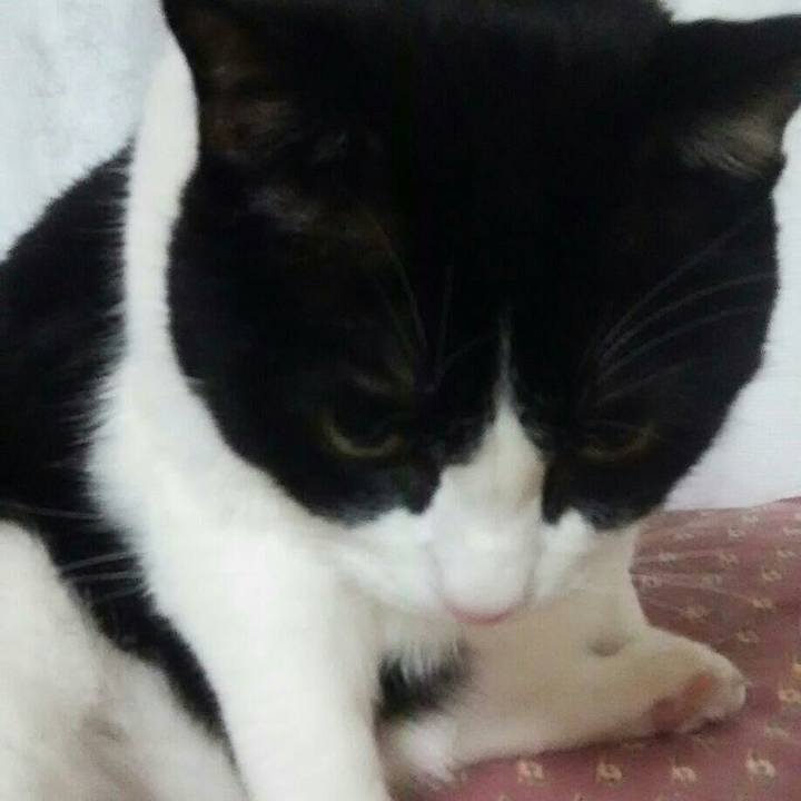 2dd208ee b94b 43fa b857 c4a0a5b39696