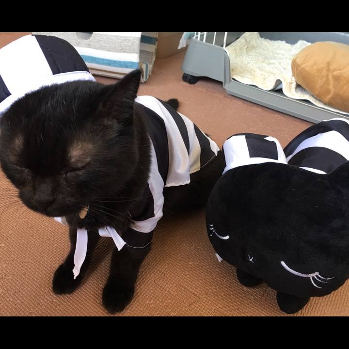 2dd23fc4 d9c6 4cab 8fac 0ae688e98fab