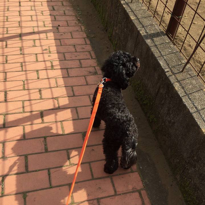 2dd24eef c51c 4c63 981b 71699e24feaa