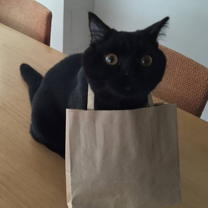 2dd27078 ee28 4a34 ae2b d92364945f13