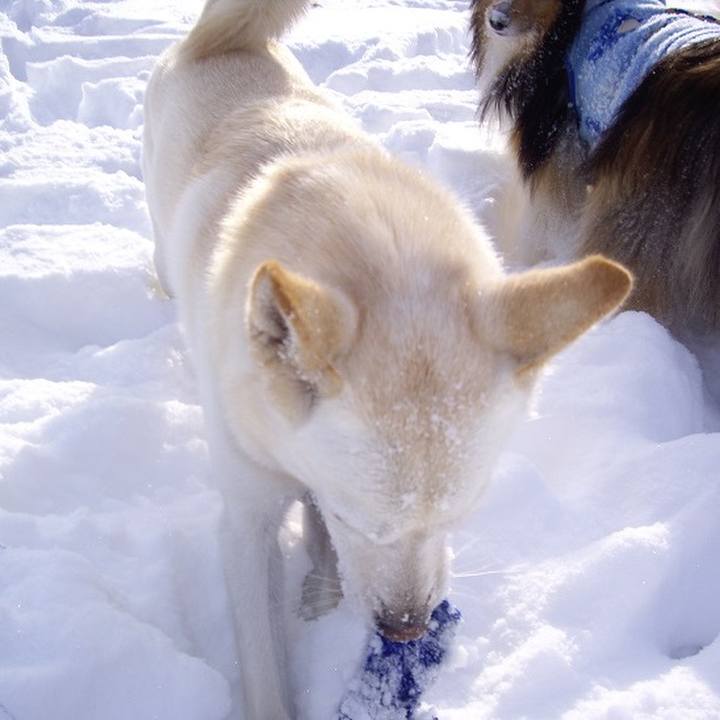 2dd270be d2c4 48a7 a924 199c36dcf4d3