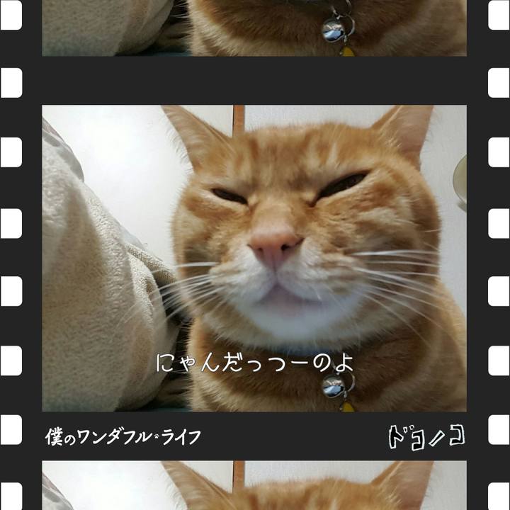 2dd2e632 8d91 4c94 8b2a f3d869a55229