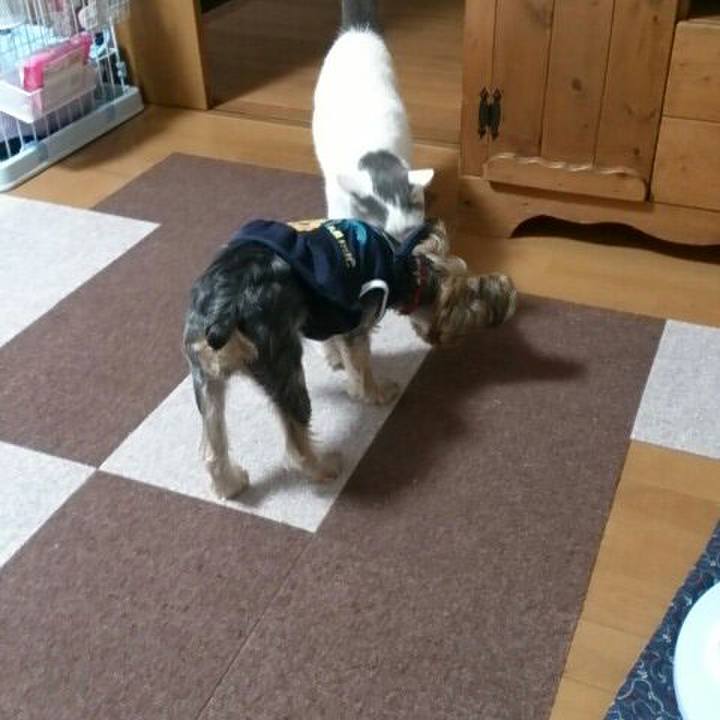 2dd2f4e7 eb53 4c53 b8aa 45f3ac2b28a4