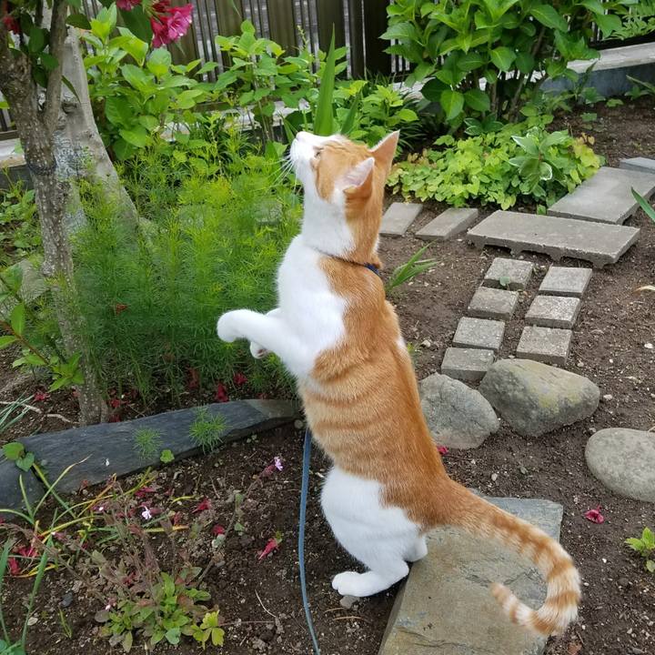 2dd2f762 17ba 4581 ba05 7ae596196cfa