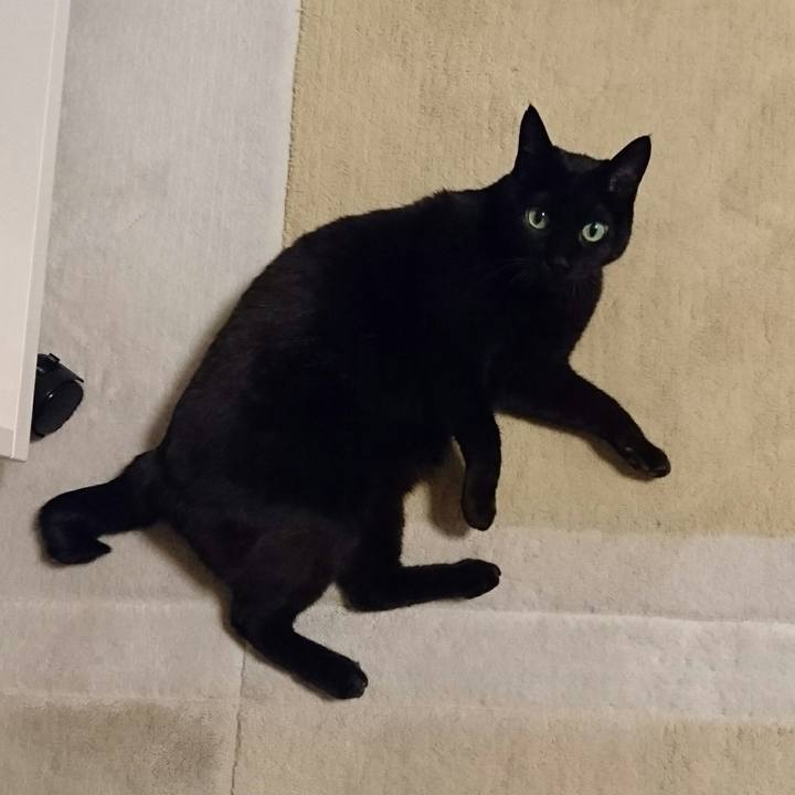 2dd34ad8 3004 4043 8cc3 e86a710af567