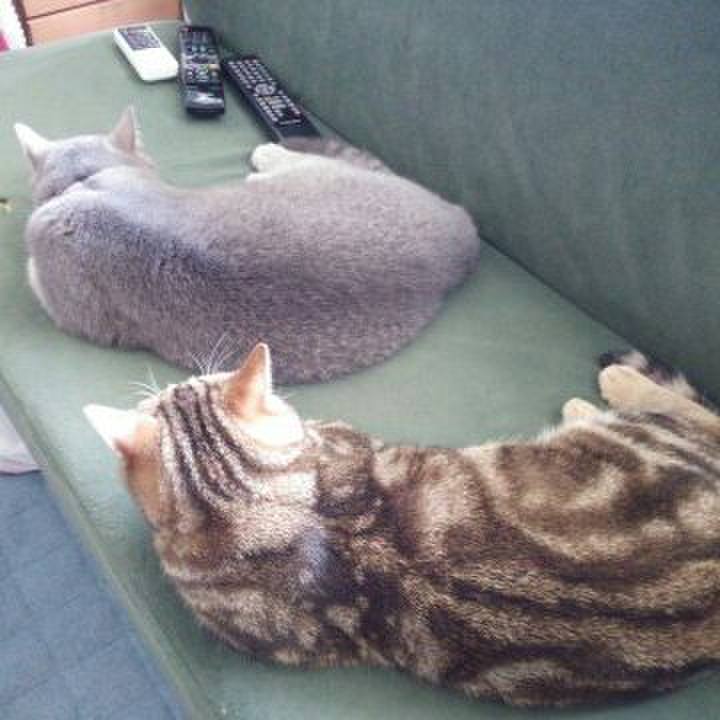 2dd34ef8 e30a 4a78 90a0 9de8481d30f2