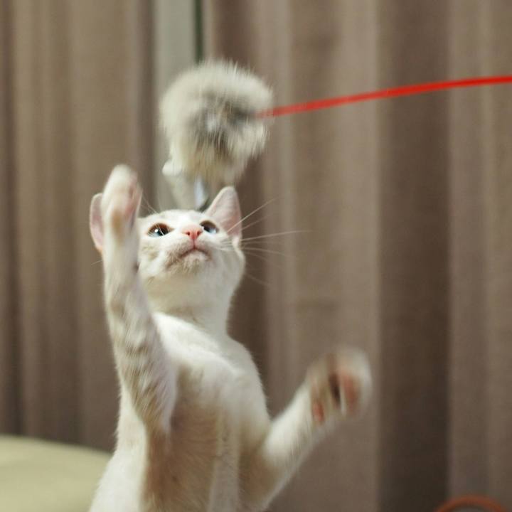 2dd37300 685e 44a9 ab04 b879b8bed731