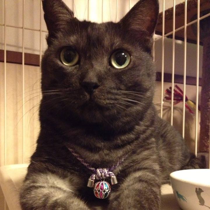 2dd3fef1 cee4 4258 b2c5 2f7022bec3ba