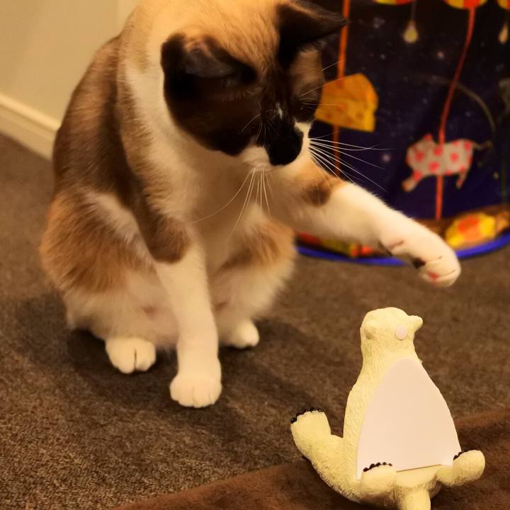 2dd41bd8 d174 498e b9ef 7168d11845a5