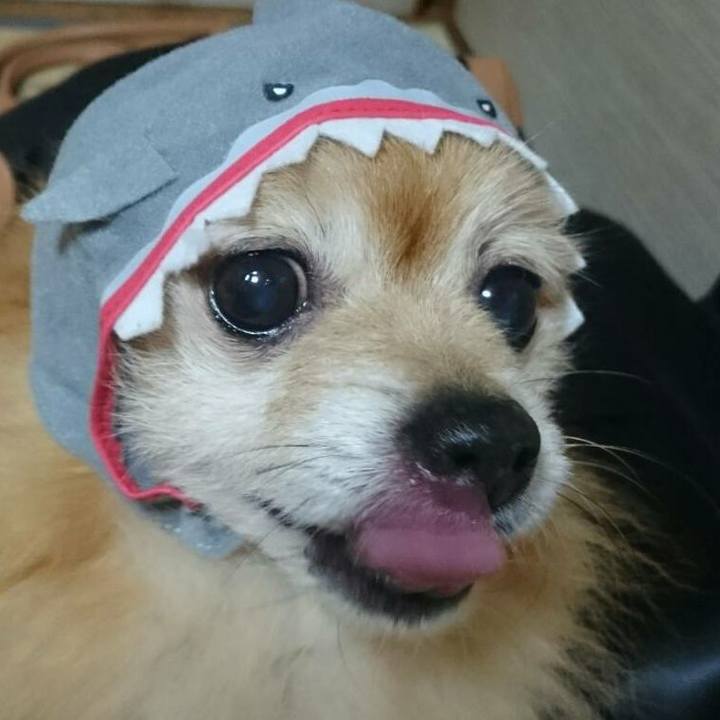 2dd4e102 7f1b 4a34 ba0f 234d2e253e5e