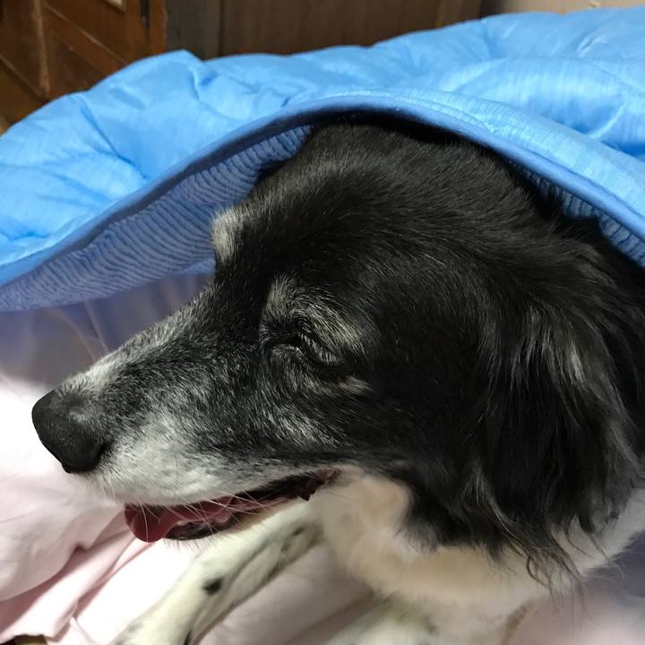 2dd59c27 0809 4487 a2ce abe1e77647ae