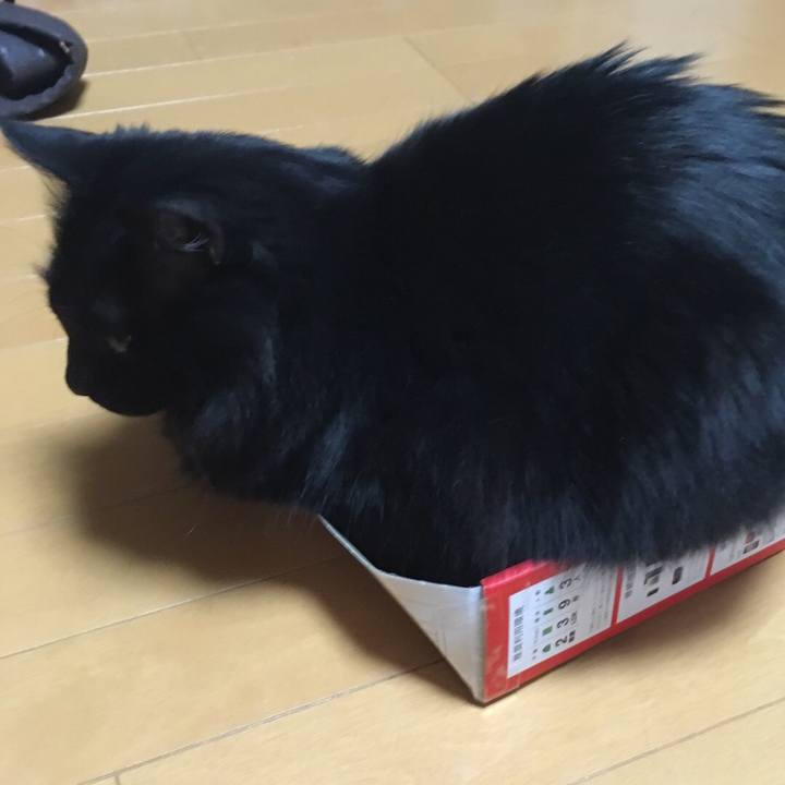 2dd5c772 f7ef 4757 a843 6cc3028911d4