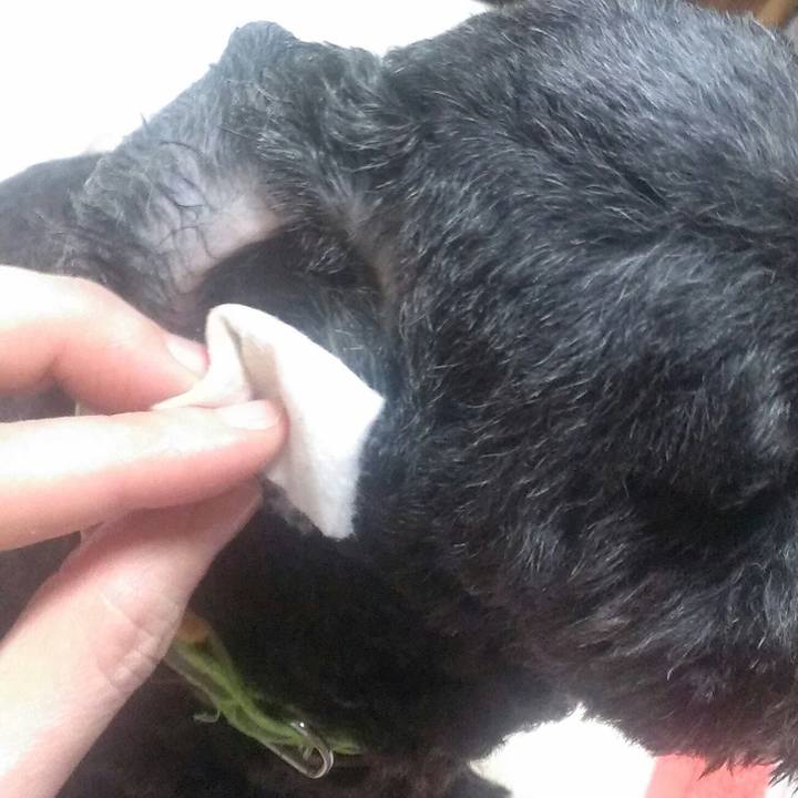 2dd6f868 10e8 4bdd a410 52a34ba6da1f