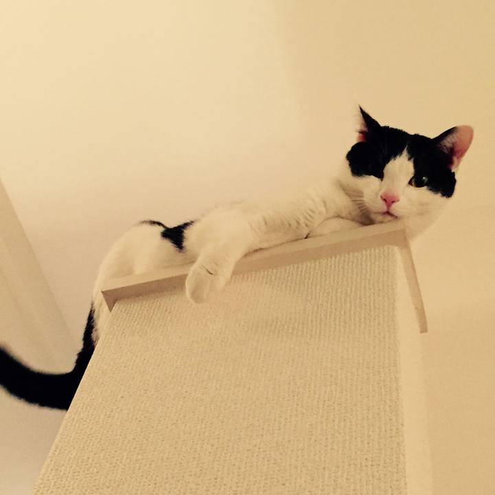 2dd76339 d19a 4412 8511 eaa3eeb86afc