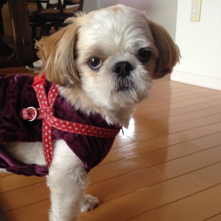 2dd7e9ac c6d7 47af 8f95 349c34a692b3