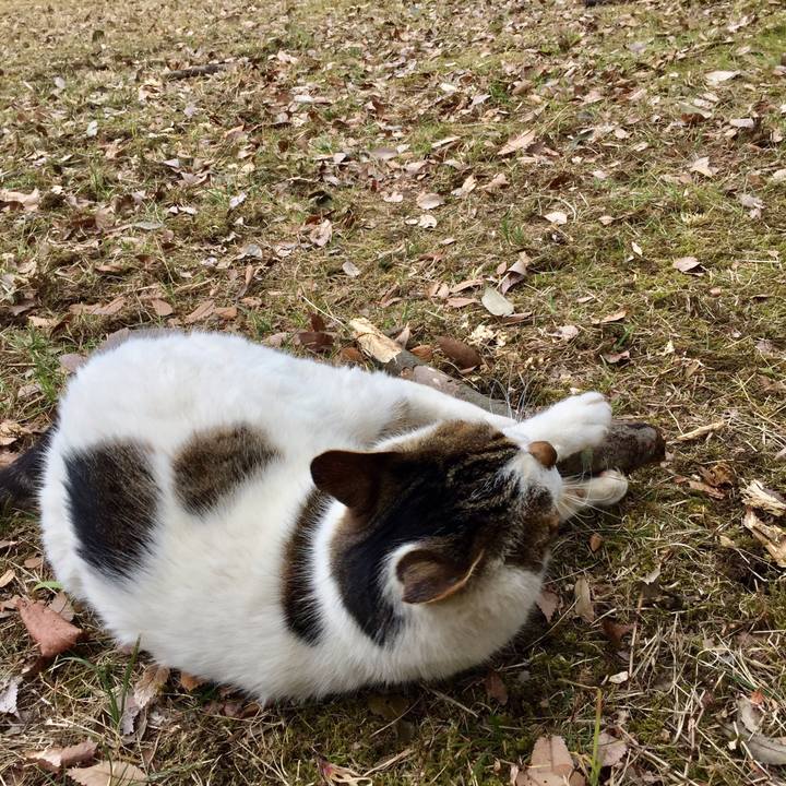 2dd7f446 d701 435a b3e1 0ea3c2a5f5c8