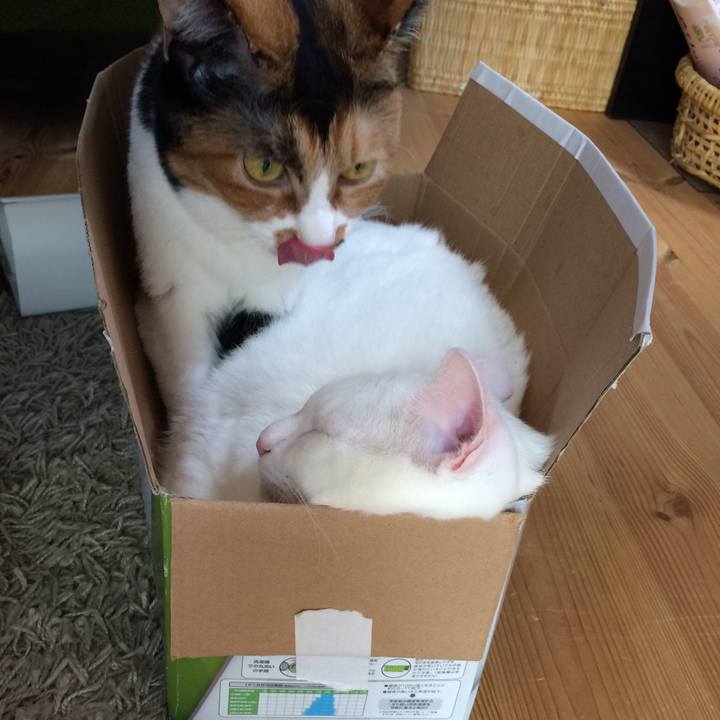 2dd8ec08 ddaa 4c31 b754 2408a09226c7