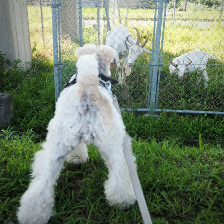 2dd9d9b4 d203 4793 a2b3 71b808340895