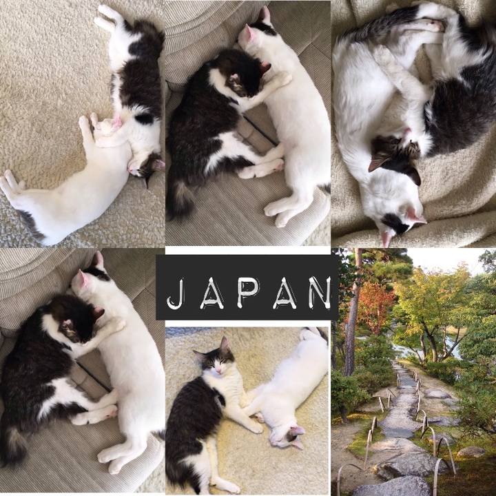 2ddbac89 abe8 452c b94f df26778a25e0