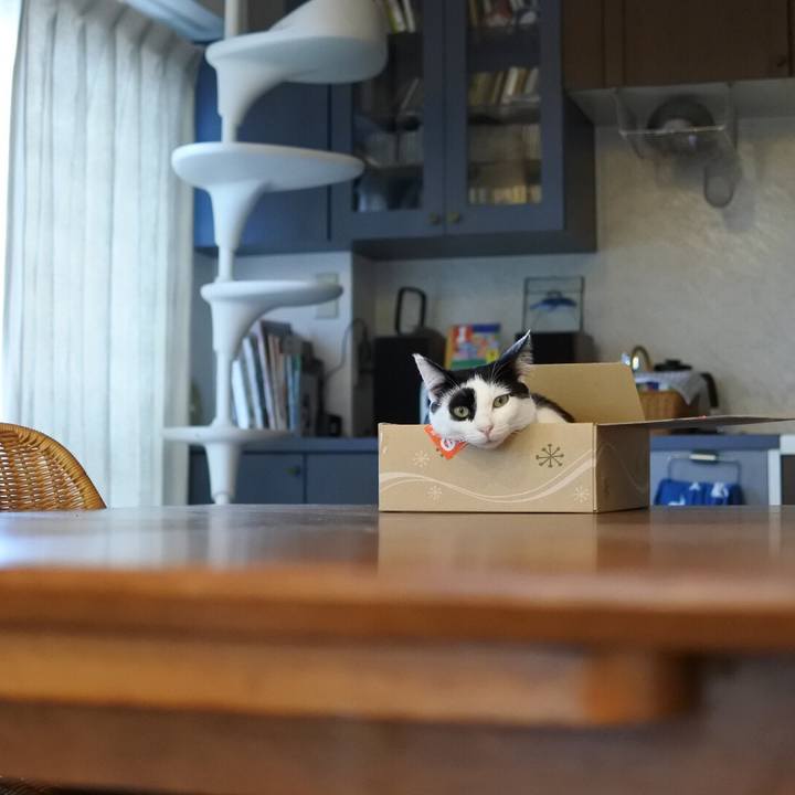 2ddbcdac 1b22 4e76 a414 29e082d7d6e8