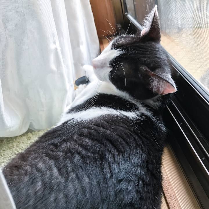 2ddc0ac8 dbbe 4105 b1a2 dbc3cd70aaaf