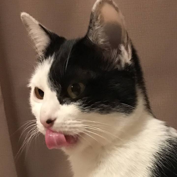 2ddc2836 7bec 427d 8675 8fbce55cdcdd