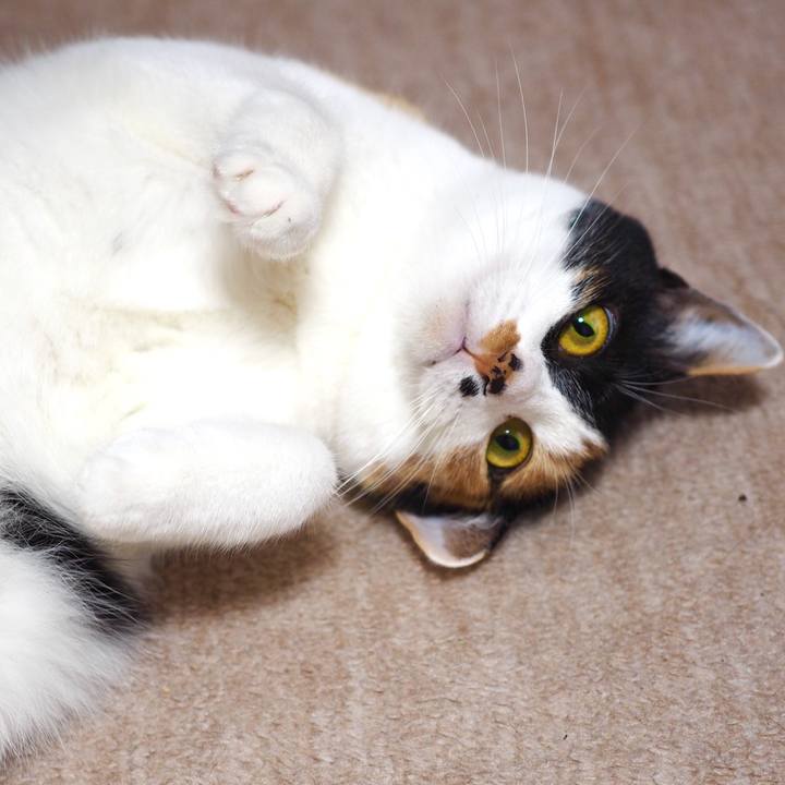 2ddd2984 cb55 4a1f b497 f35c8f3d0802