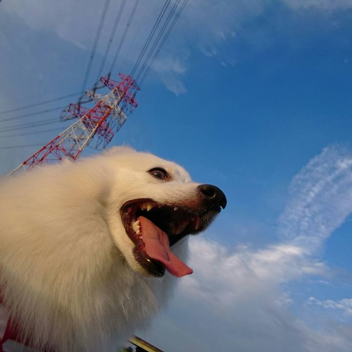 2dde25d6 f4f9 4b59 a4c3 d9810c59a3fe