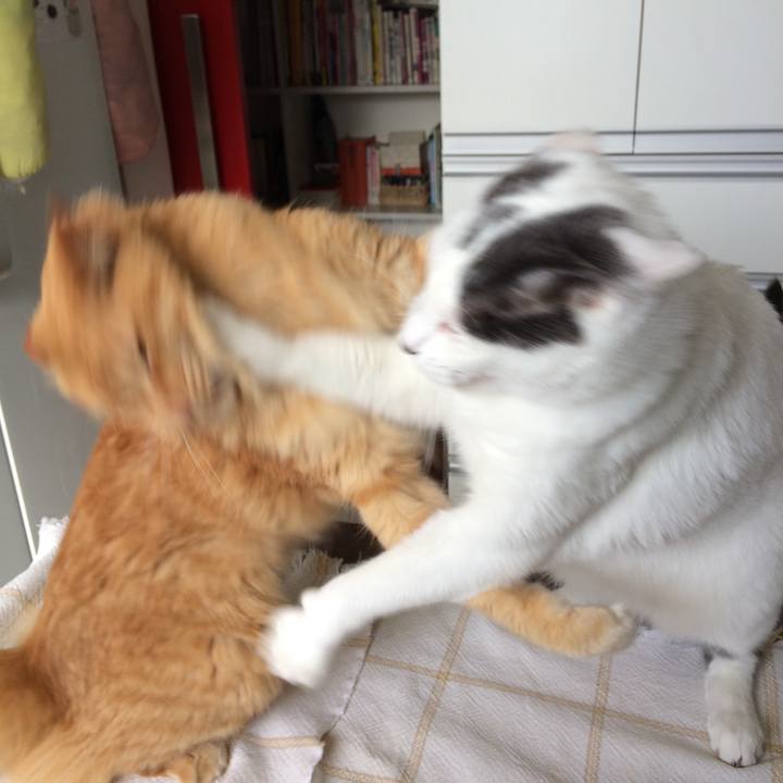 2dde3ee2 5506 4d91 82b0 600ee068566e