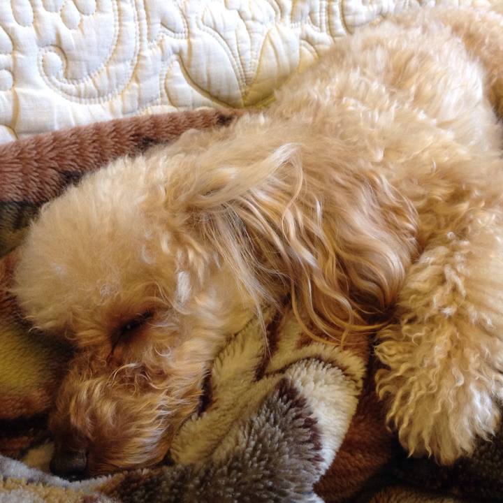 2de0147b e9f3 4247 be2e c9b2cb519755