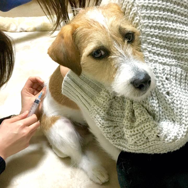 2de01e25 8dbc 40a3 bf0a 81f49e068e86