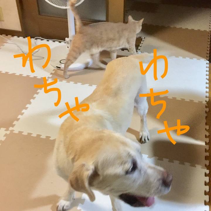 2de04879 9893 42d7 a1b9 41e6f38016d3