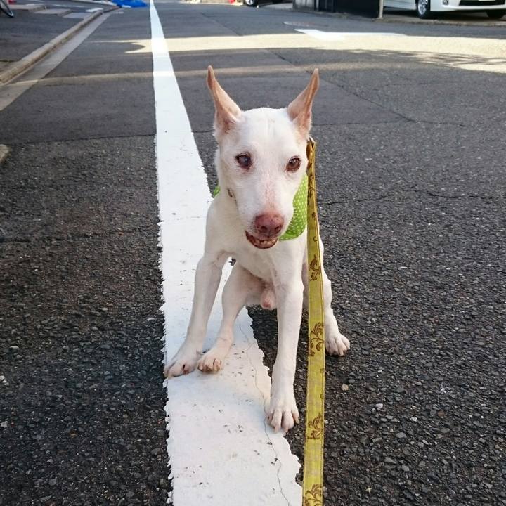 2de13517 c8f2 4680 a621 d6356f709698