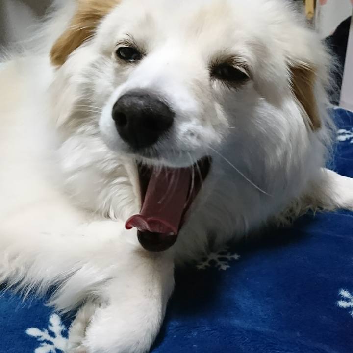 2de1b6cd 79fb 4ac7 a6e1 a8eec83fb2ae