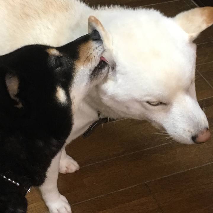 2de2472f 313f 4866 96e8 103dc7e91f0b