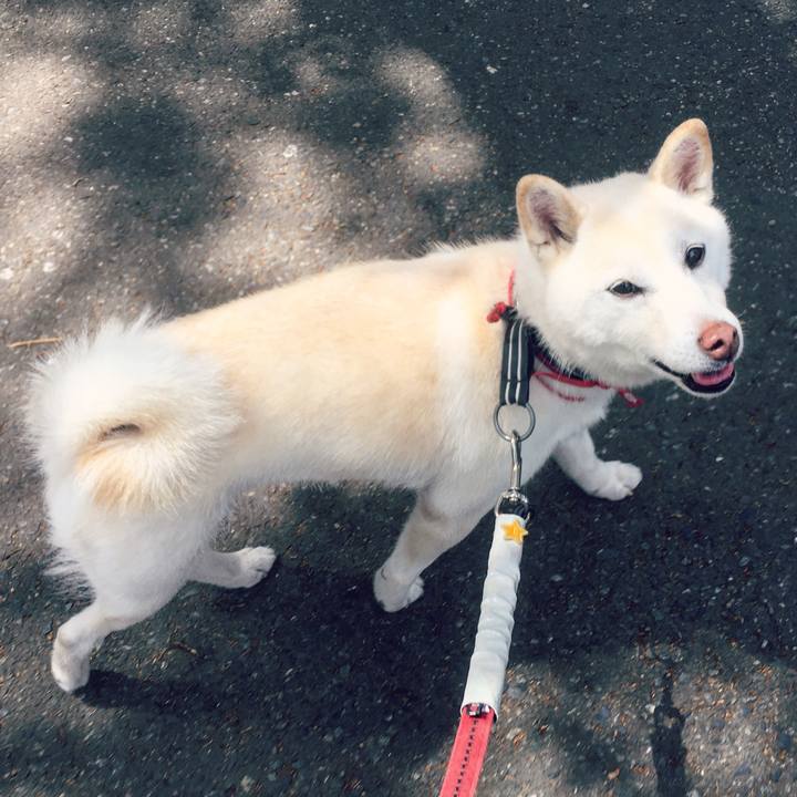 2de293f2 9807 443d a7f8 499ce69081e7