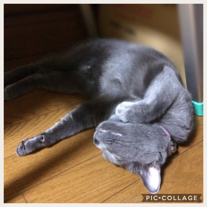 2de29b94 ccf1 491a 8b10 f3c2e1147952