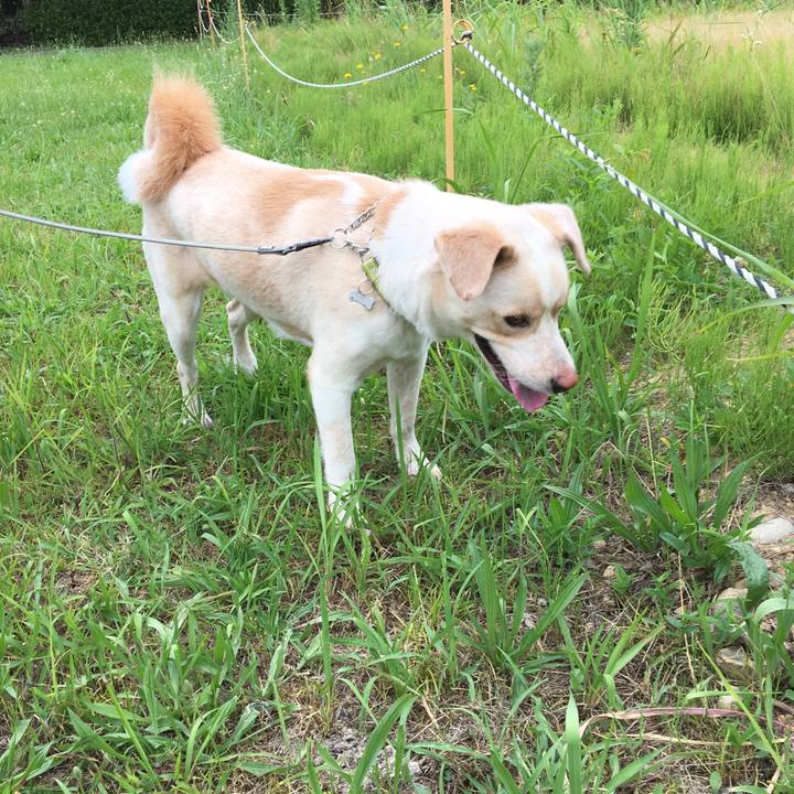 2de344d2 c66d 4a56 9591 86718fb05f1a