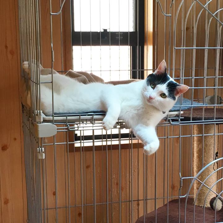 2de36de4 d99d 4b98 8109 3cc2a0aed48b