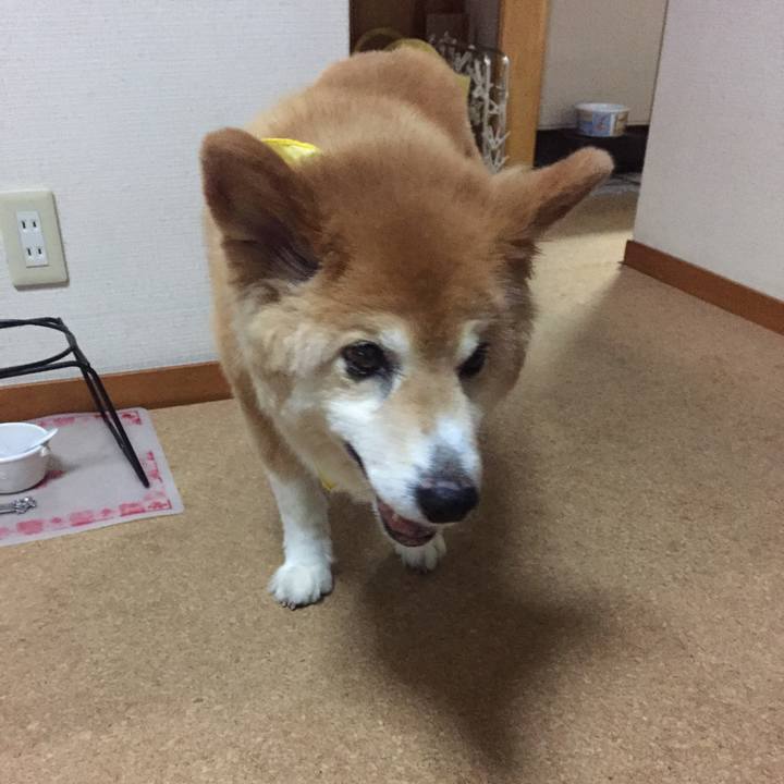 2de3d2d9 6a2f 4067 a4a8 ea3539a7636d