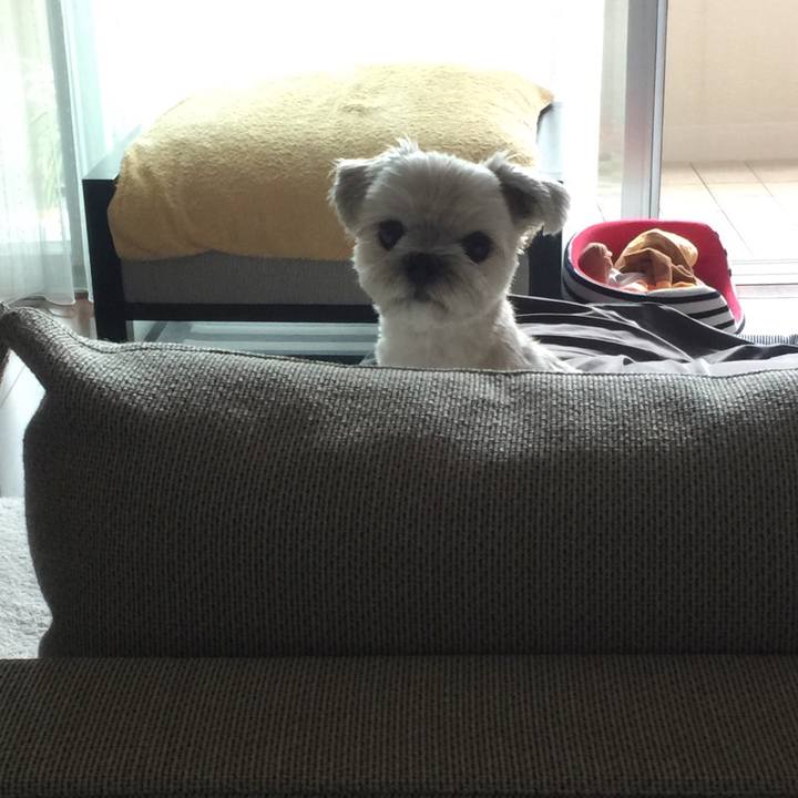 2de47178 de42 4d85 930c 6d63ad83bd61