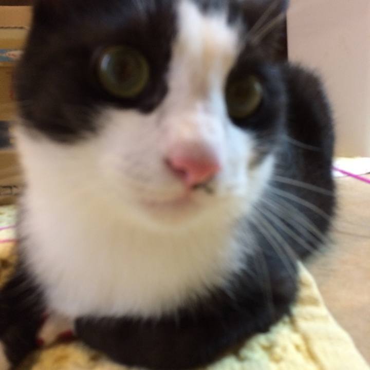 2de4bb41 9291 4258 a865 d09cb4c2a877