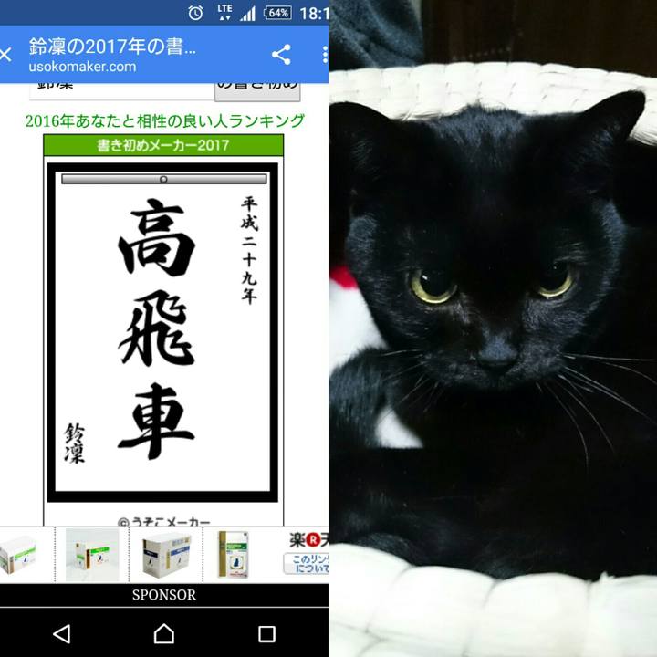 2de51ca6 dbef 4895 915d 733e8a3fc86f