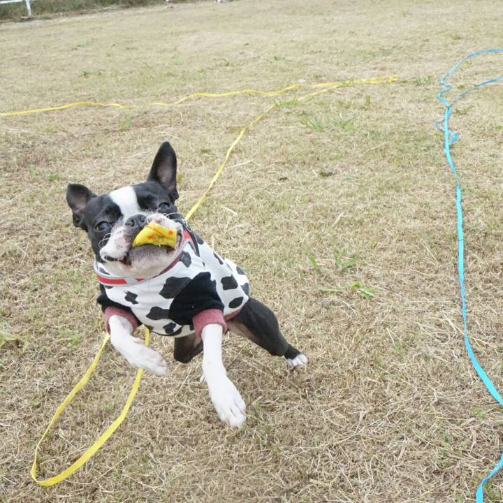 2de51e85 deb3 44cb aad5 acfc7e917023