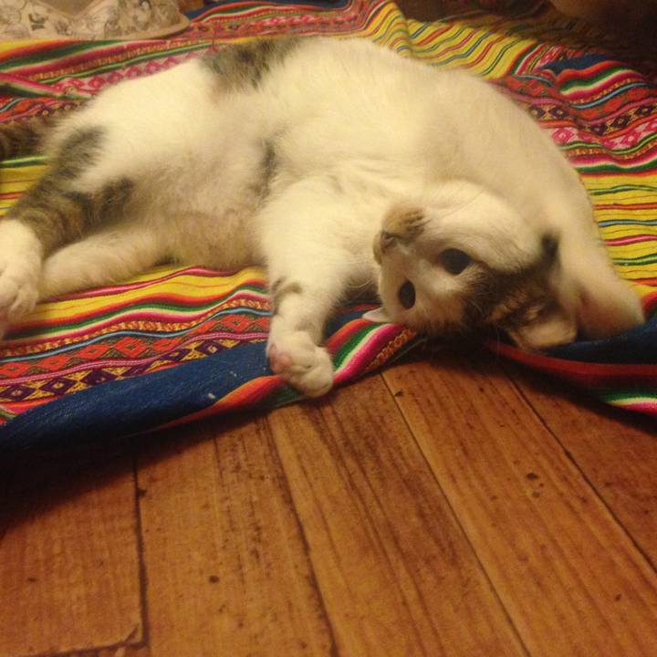 2de631de 3169 4f57 bfc5 26528025fb9e