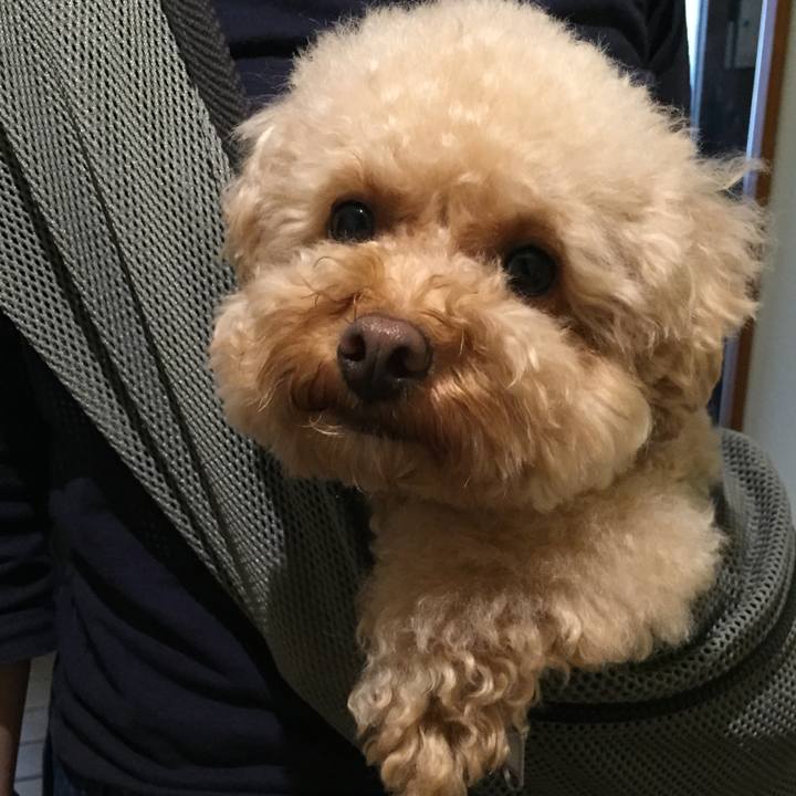 2de65ce0 0712 4699 9421 d5db2667f359